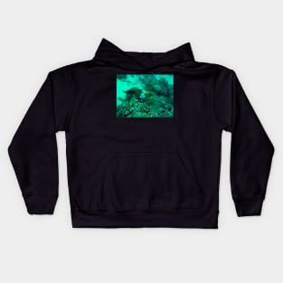 coral reef and fish - underwater Kids Hoodie